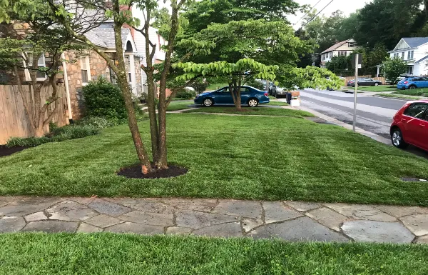 Sod Installation In Falls Church, VA.