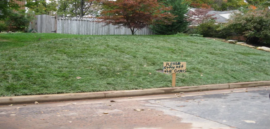 Sod Installation In Falls Church