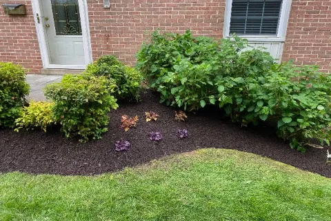 Mulching And Edging Services